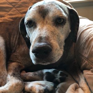 Meet your Posher, Brandi